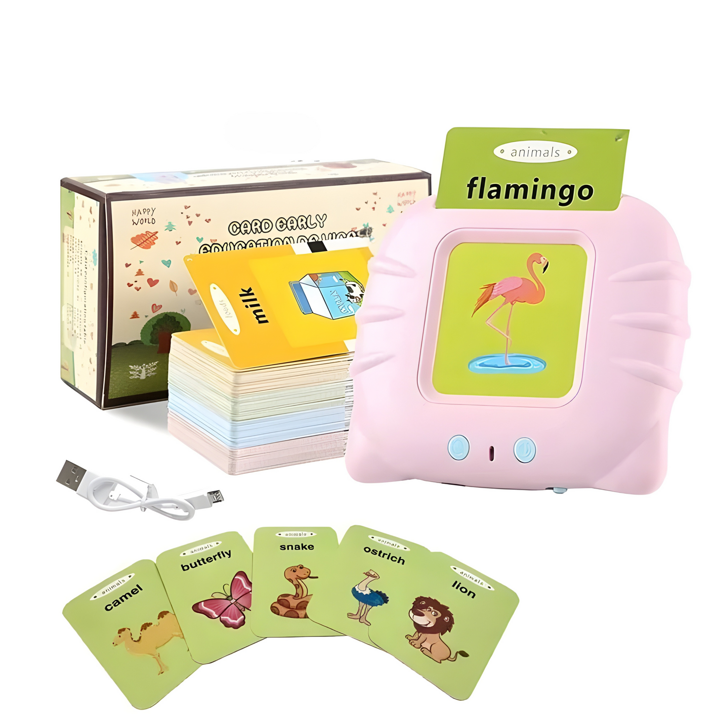 Listen & Learn Flashcards