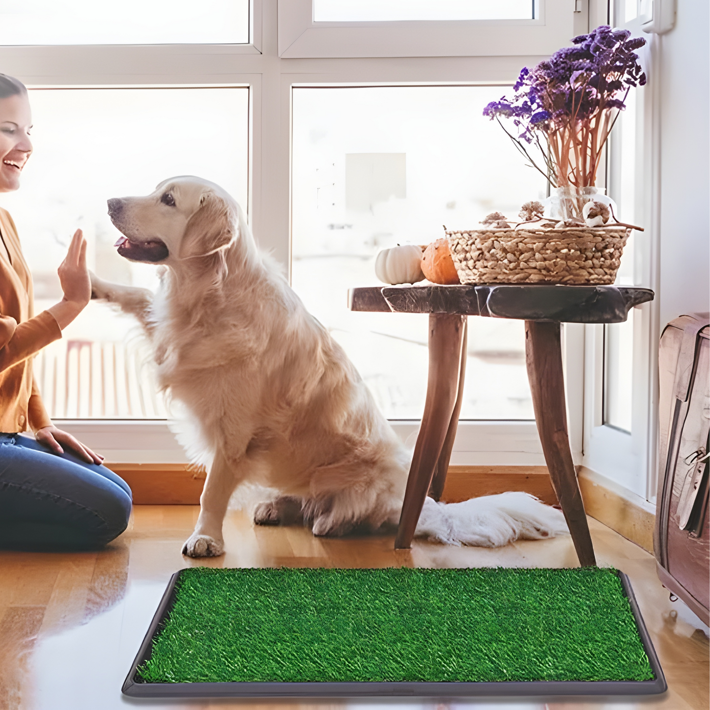 Grass Toilet Training Mat For Dogs