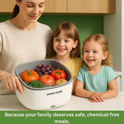 Ultrasonic Food Purifier