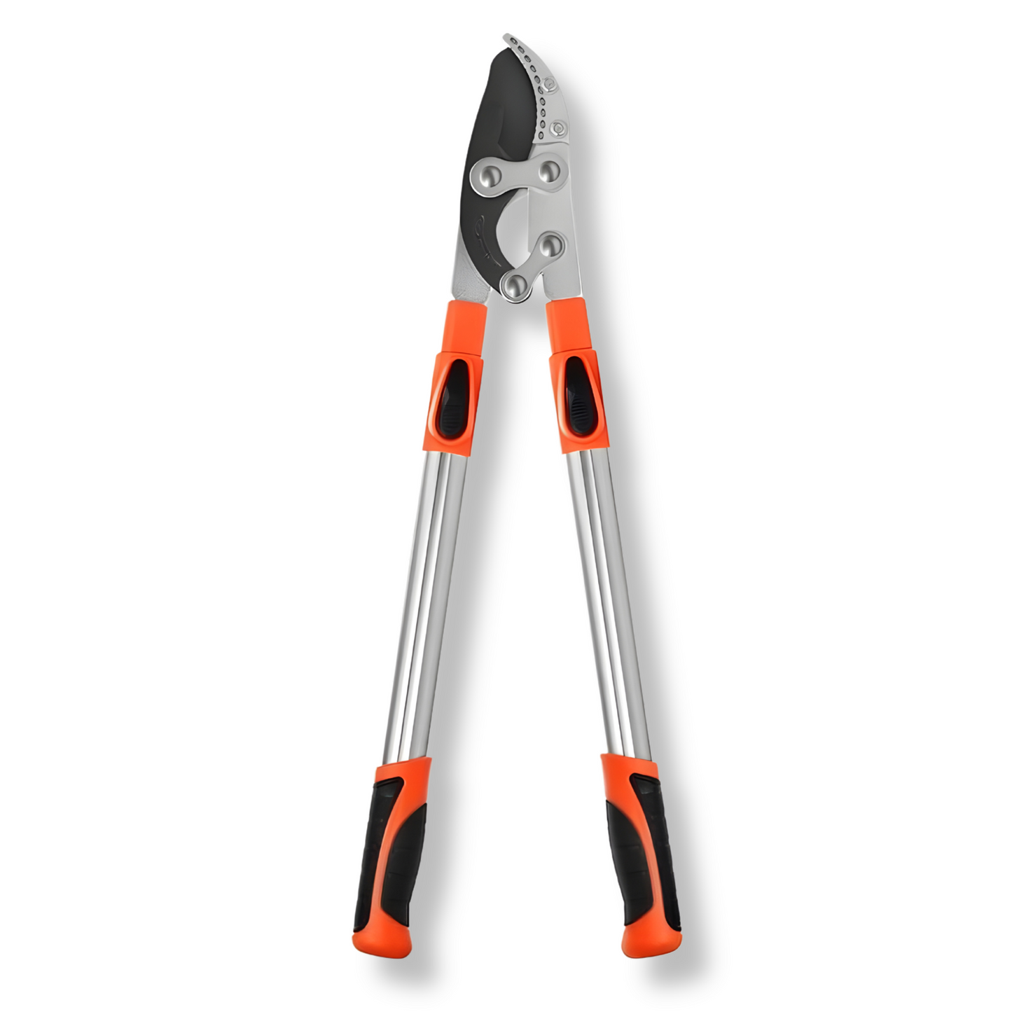 Extendable Tree Pruner