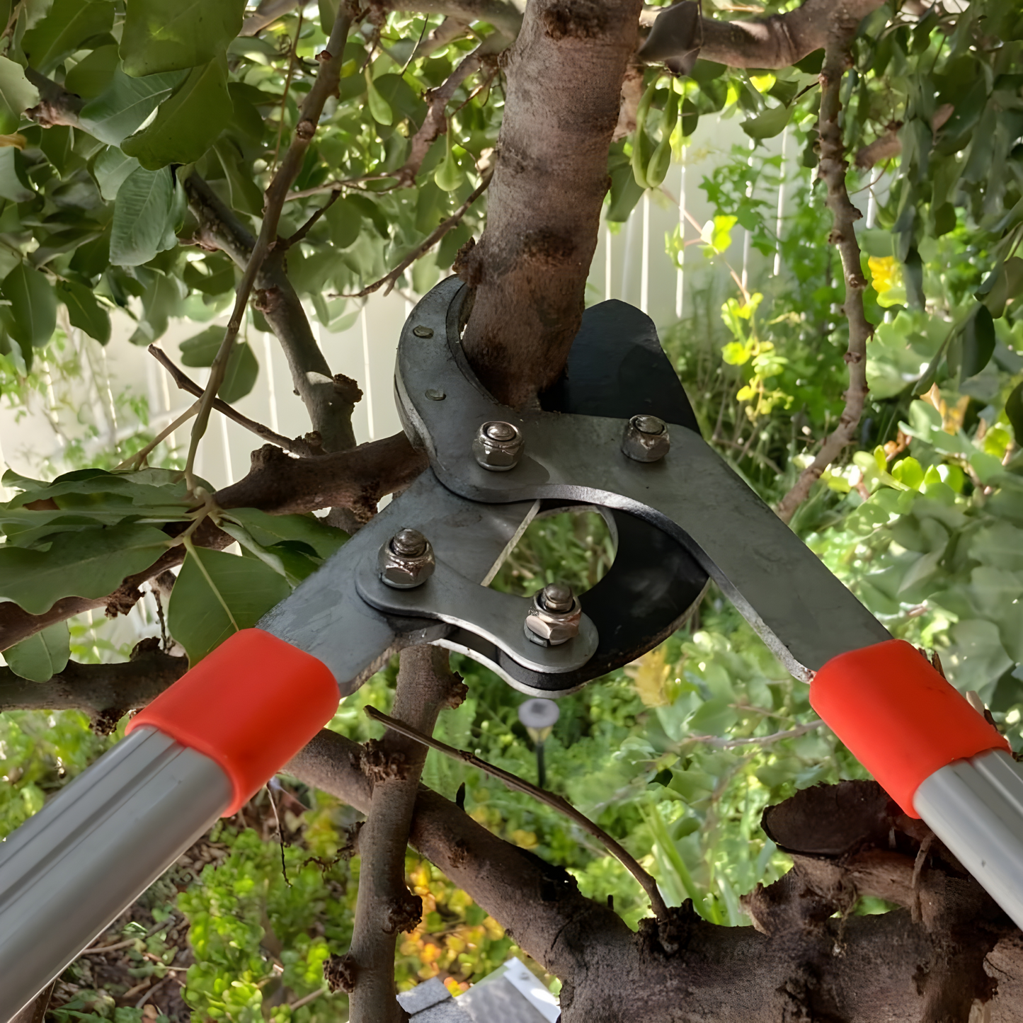 Extendable Tree Pruner