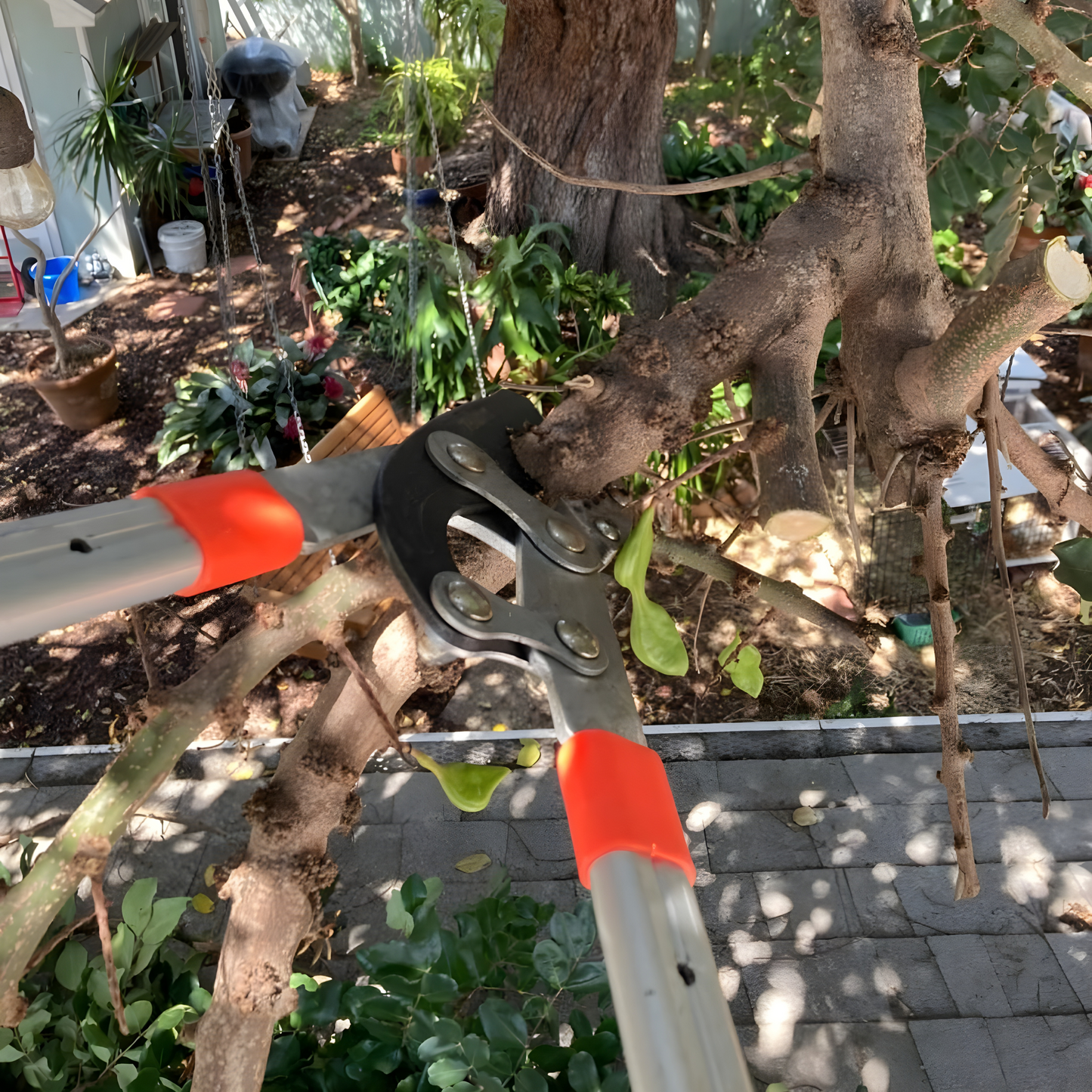 Extendable Tree Pruner