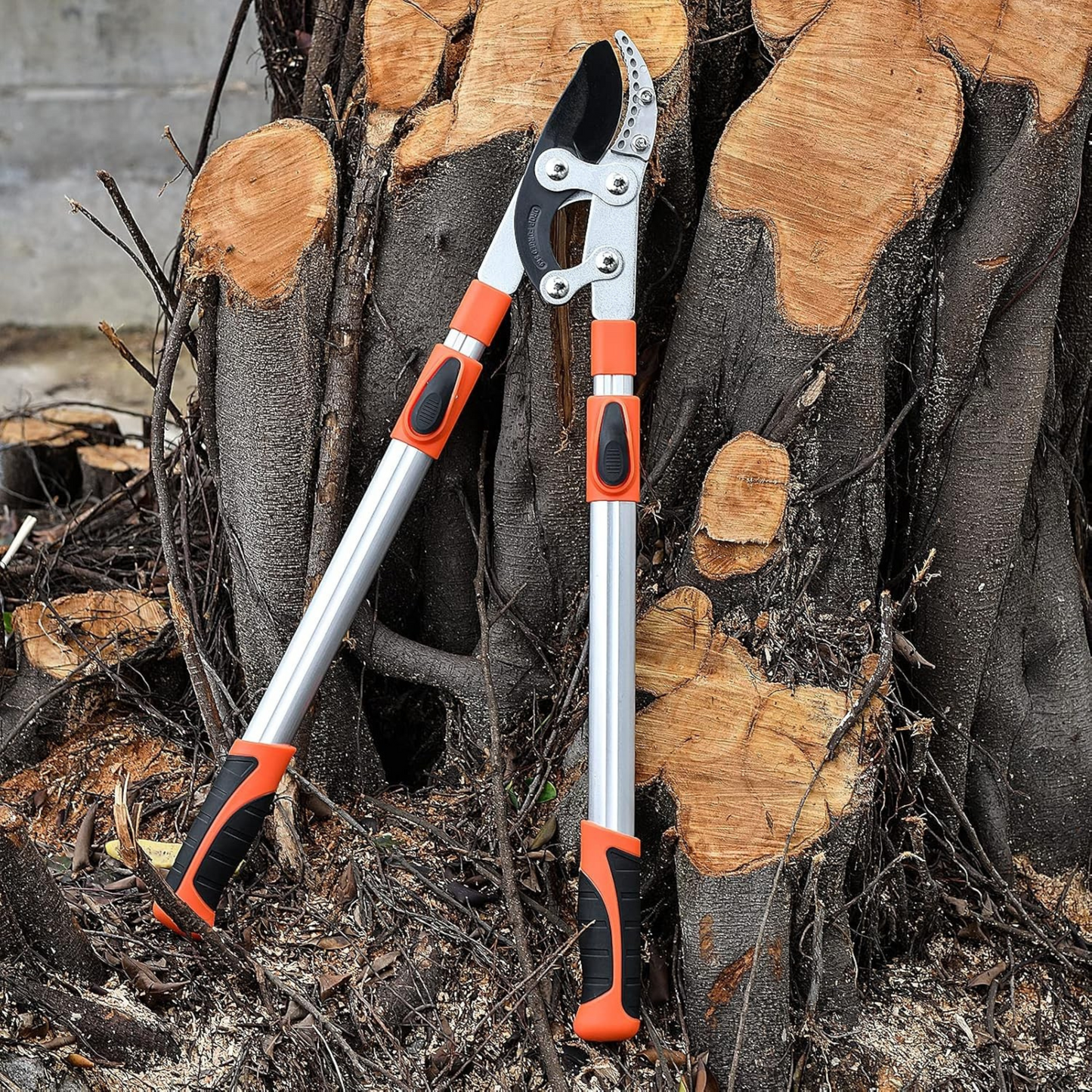 Extendable Tree Pruner