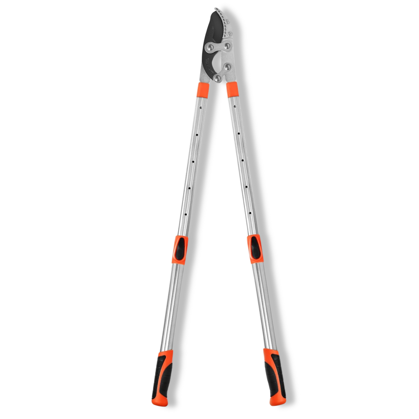 Extendable Tree Pruner