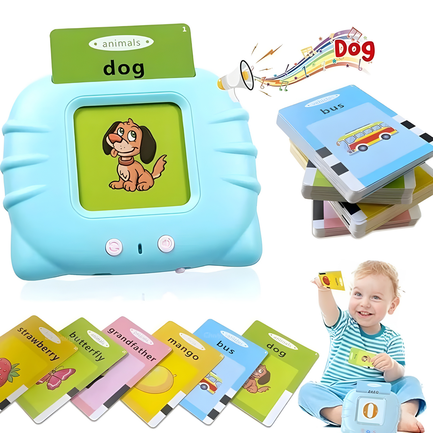 Listen & Learn Flashcards