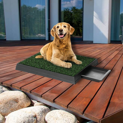 Grass Toilet Training Mat For Dogs