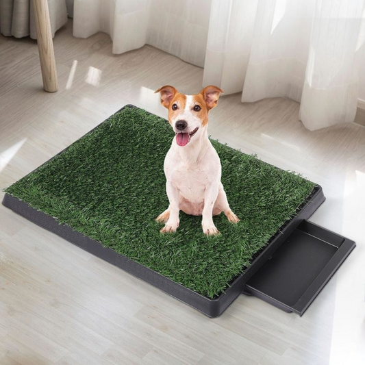 Grass Toilet Training Mat For Dogs