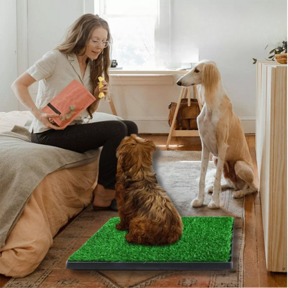 Grass Toilet Training Mat For Dogs