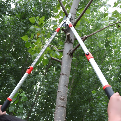 Extendable Tree Pruner