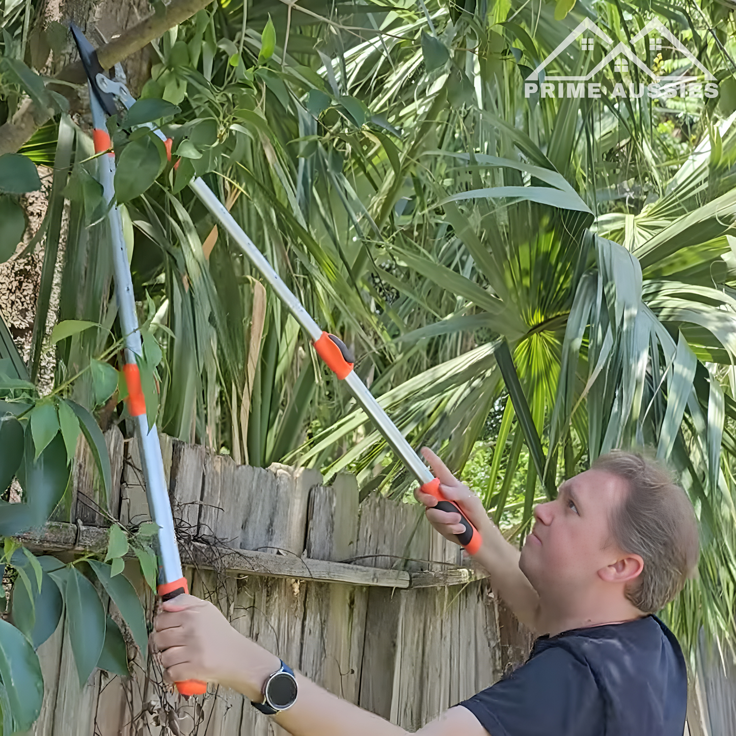 Extendable Tree Pruner