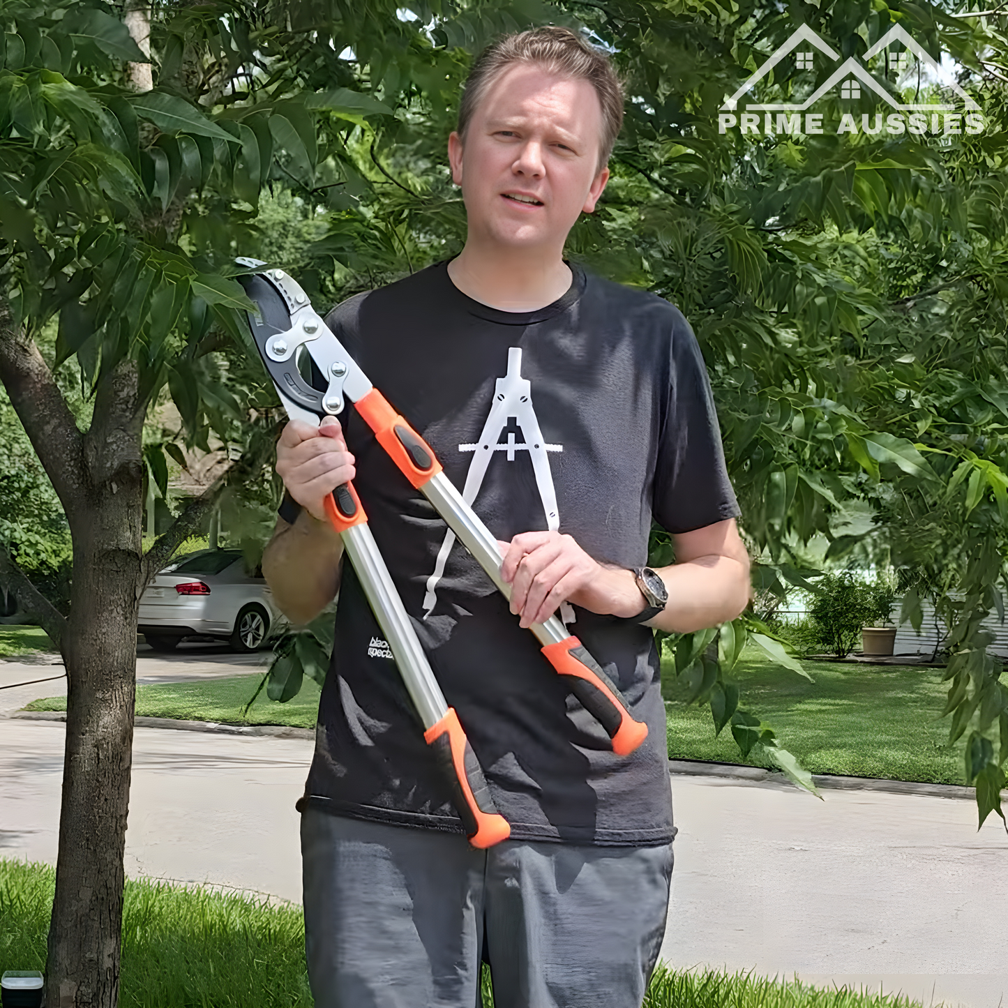 Extendable Tree Pruner